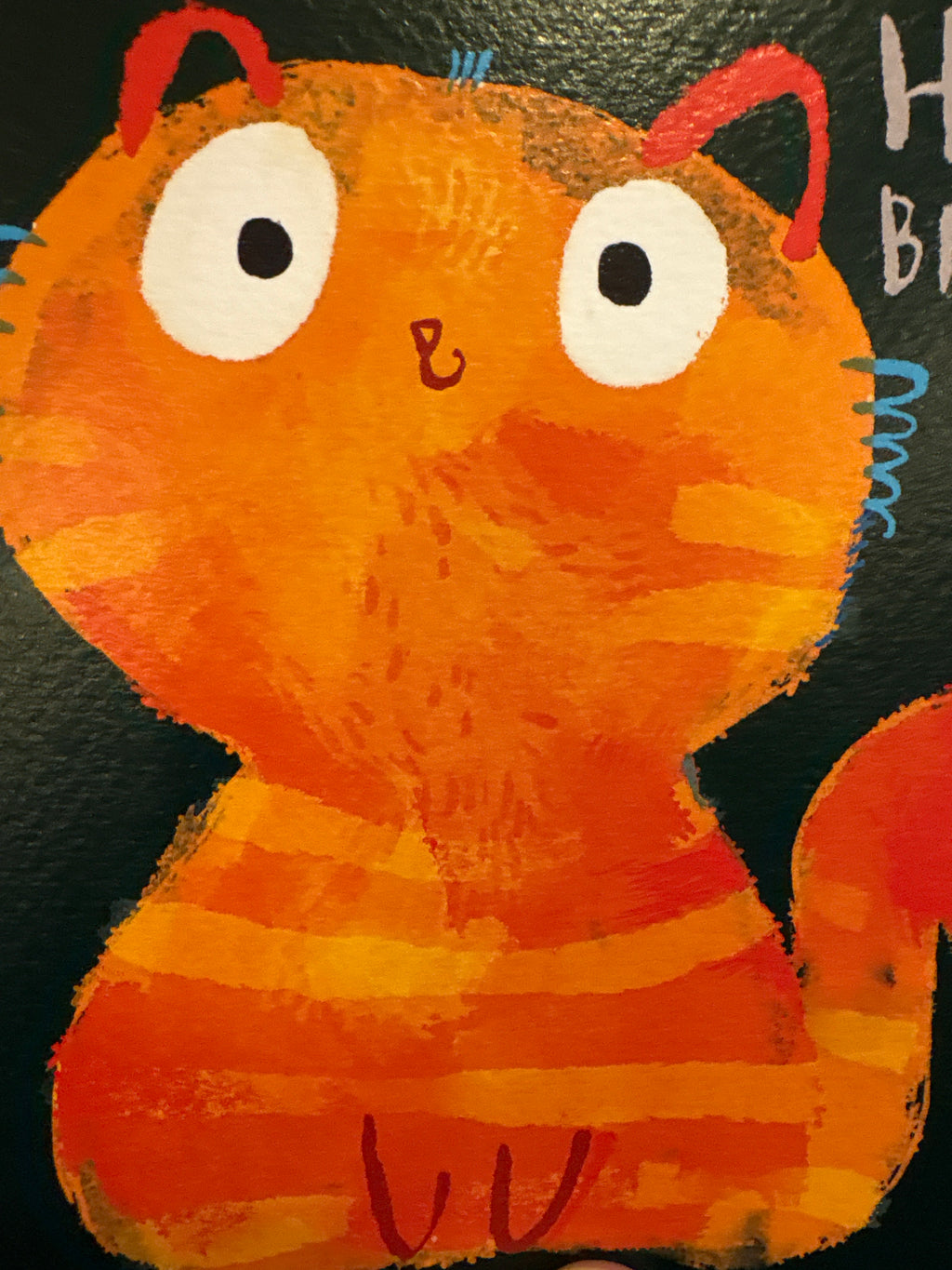 Orange kitty - Blank